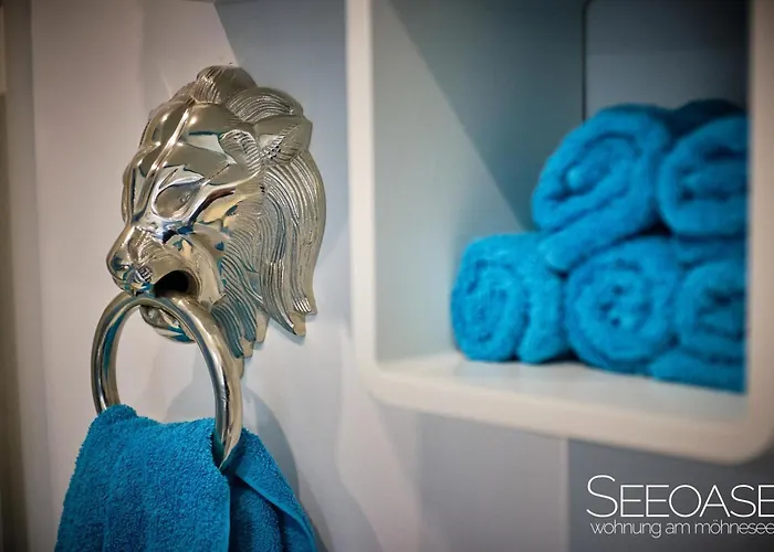 Seeoase - Am 公寓 莫内西