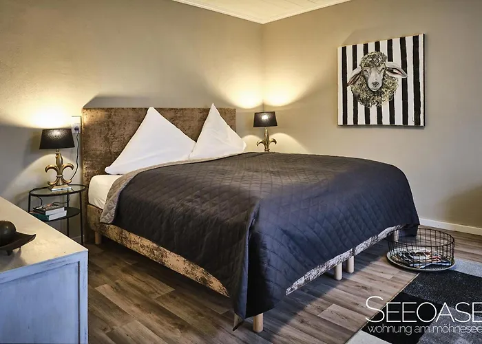 Seeoase - Am 莫内西